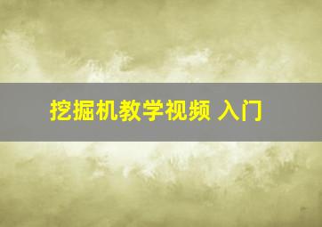 挖掘机教学视频 入门